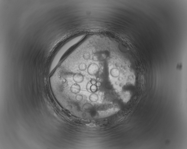 X0000115200591200912091136