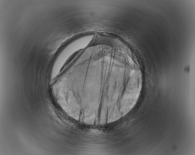 X0000115200592200912091136