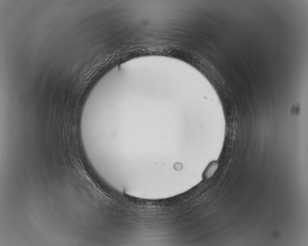 X0000115200593200912091136