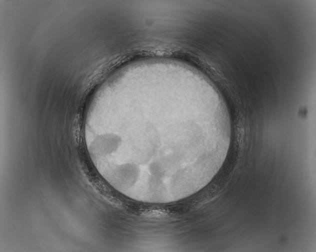 X0000115200594200912091136