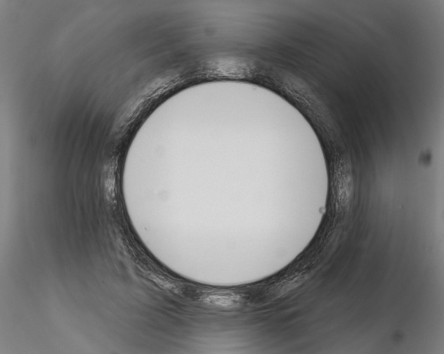 X0000115200595200912091136