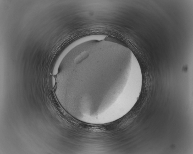 X0000115200597200912091136