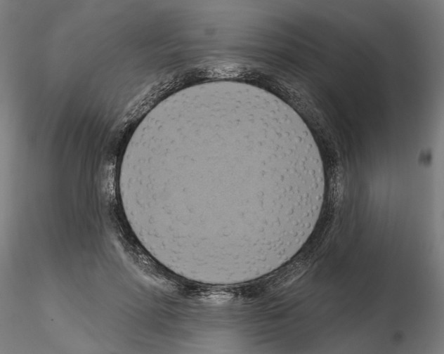 X0000115200598200912091136