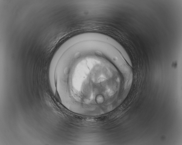 X0000115200600200912091136