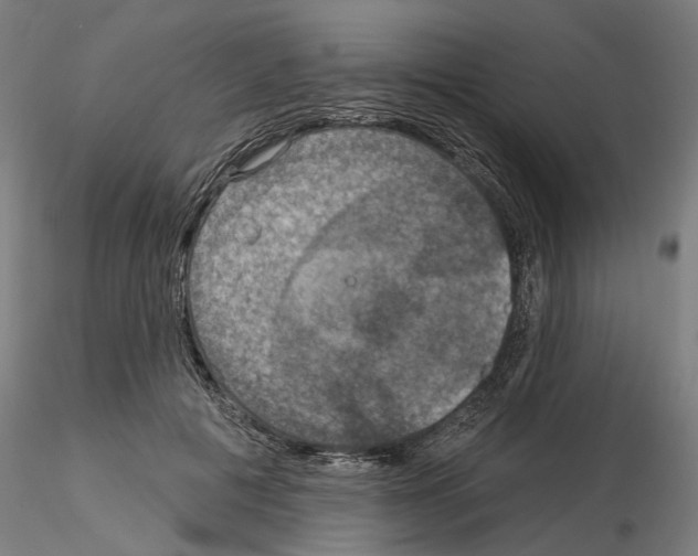 X0000115200601200912091136