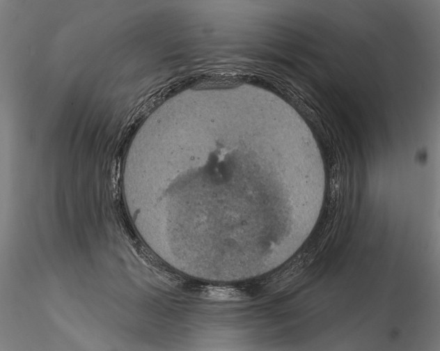 X0000115200605200912091136