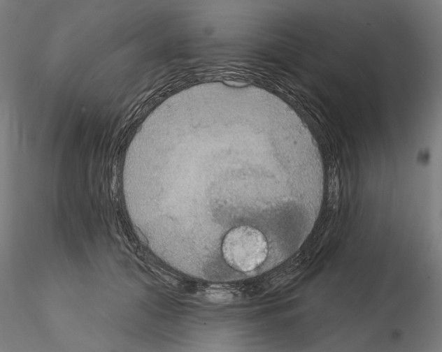 X0000115200608200912091136