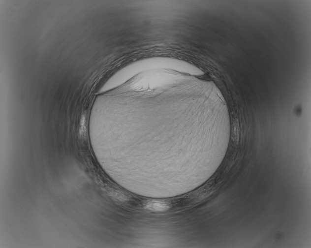 X0000115200610200912091136