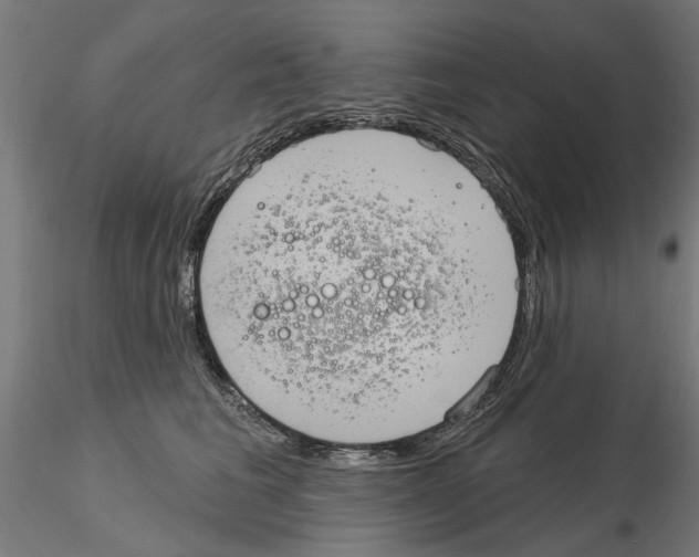 X0000115200613200912091136