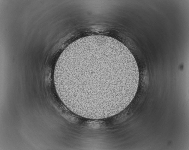 X0000115200615200912091136