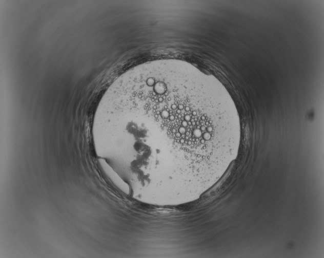 X0000115200617200912091136