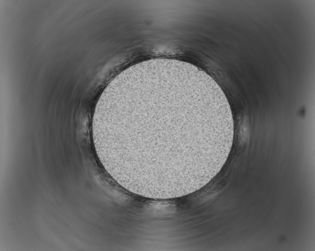 X0000115200619200912091136