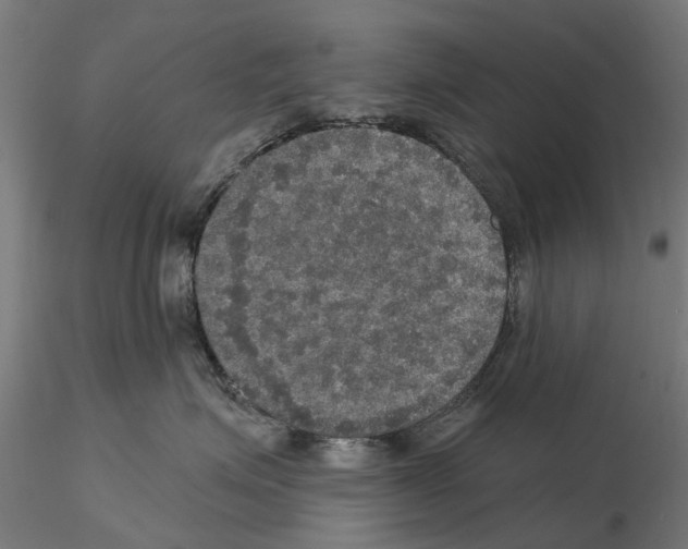 X0000115200623200912091136