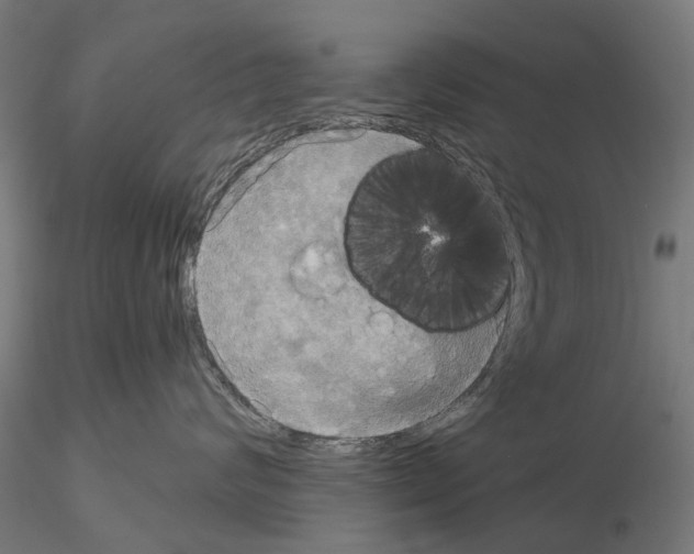 X0000115200624200912091136