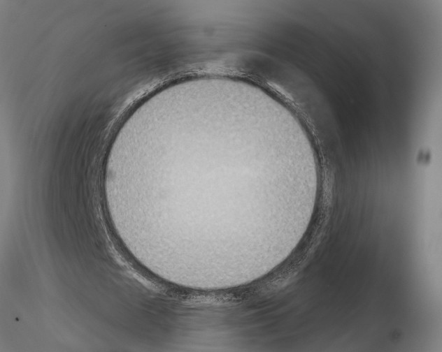 X0000115200625200912091135