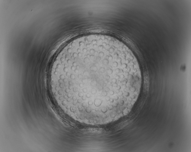 X0000115200626200912091135