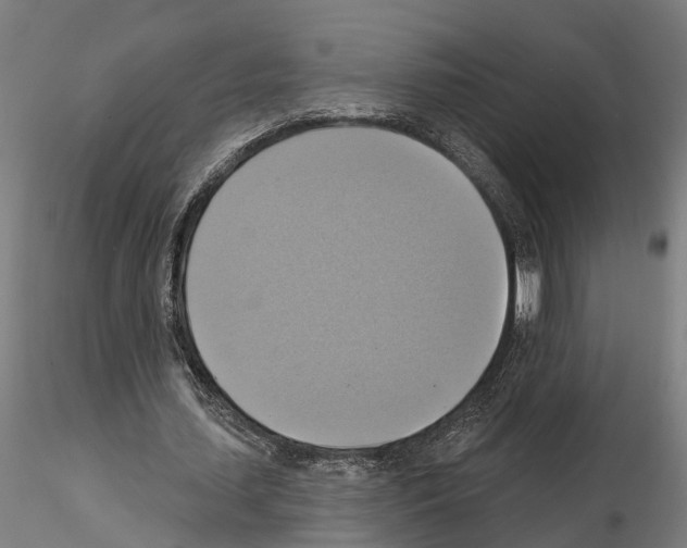 X0000115200627200912091135