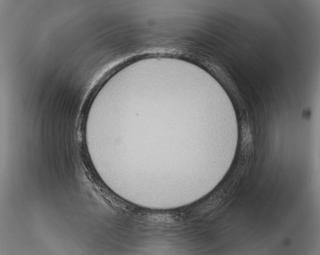 X0000115200628200912091135