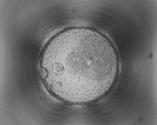 X0000115200629200912091135