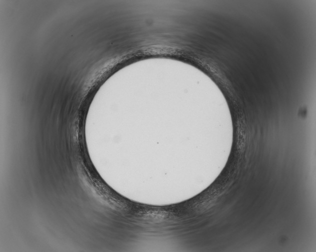 X0000115200631200912091135