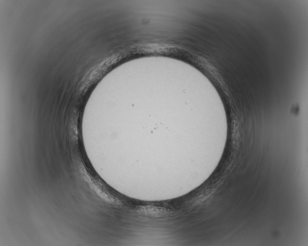 X0000115200633200912091135