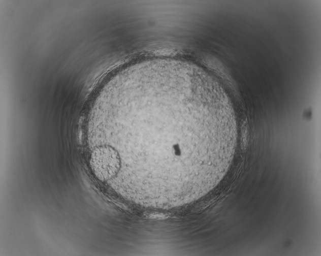 X0000115200635200912091135