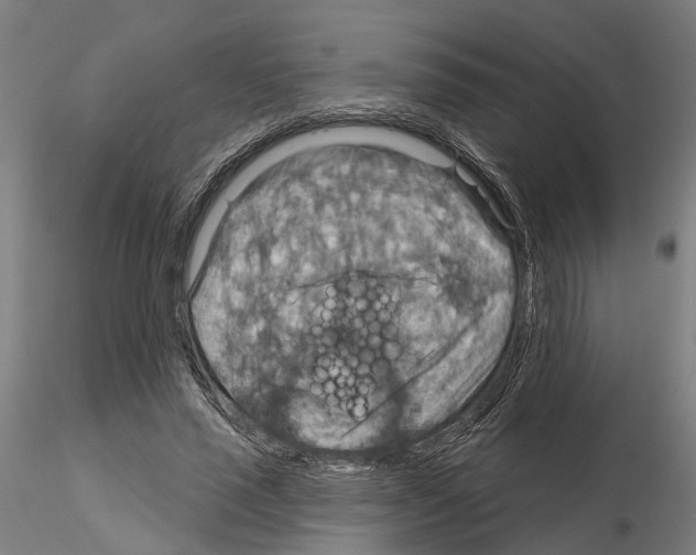 X0000115200637200912091135