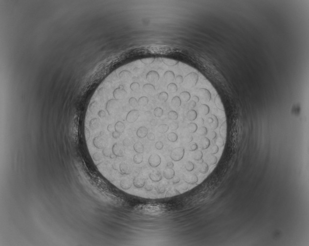 X0000115200639200912091135