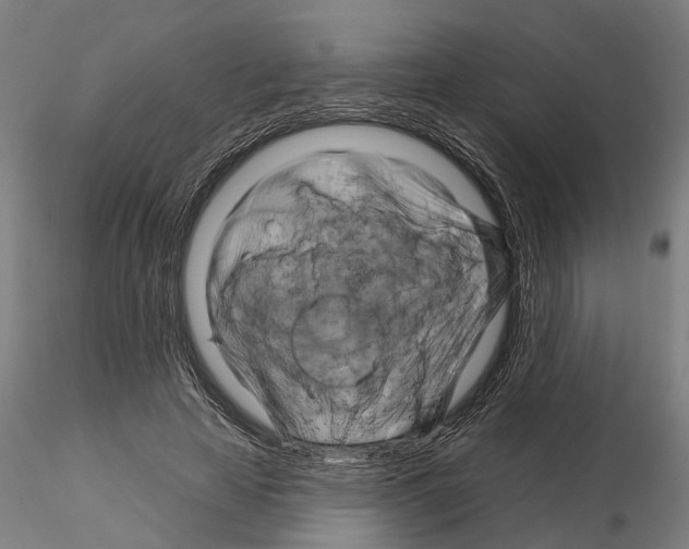 X0000115200641200912091135