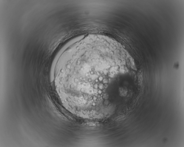 X0000115200642200912091135