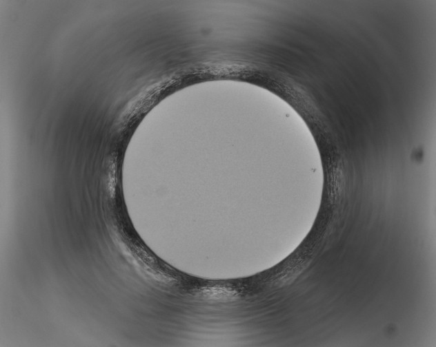 X0000115200644200912091135