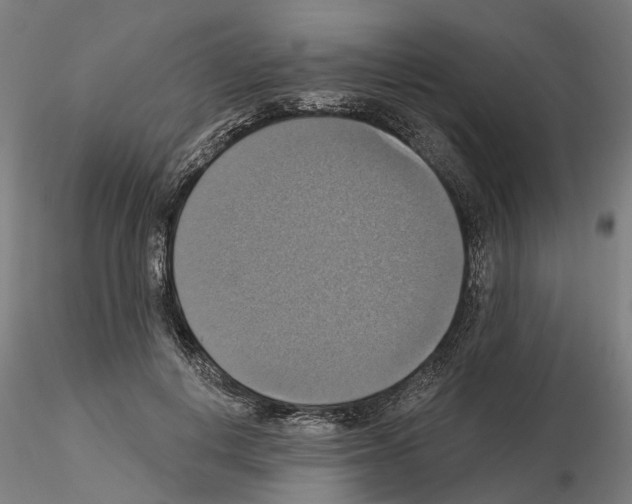 X0000115200648200912091136