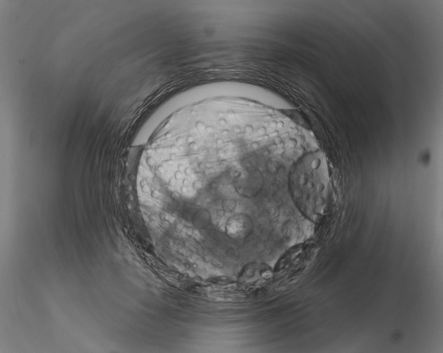 X0000115200650200912091136