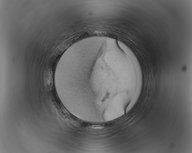 X0000115200651200912091136