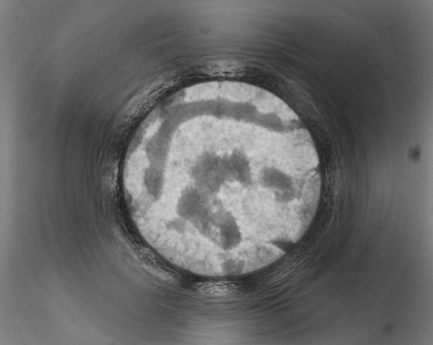 X0000115200652200912091136