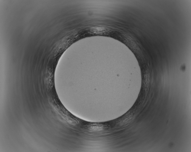 X0000115200653200912091136