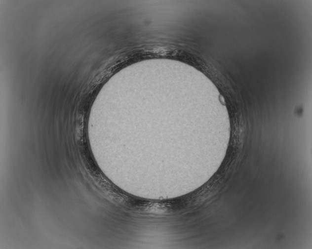 X0000115200656200912091136