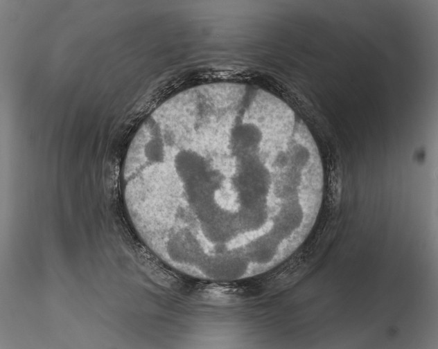 X0000115200657200912091136