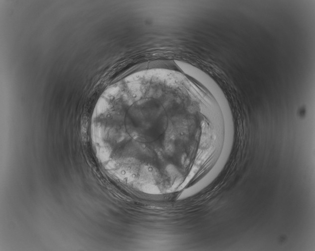 X0000115200661200912091136