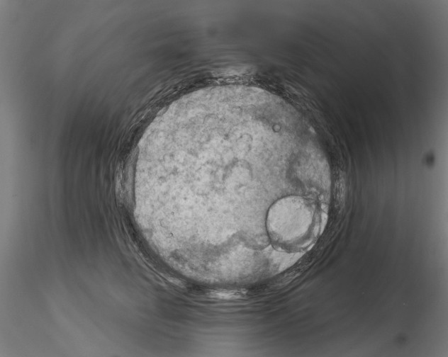 X0000115200662200912091136