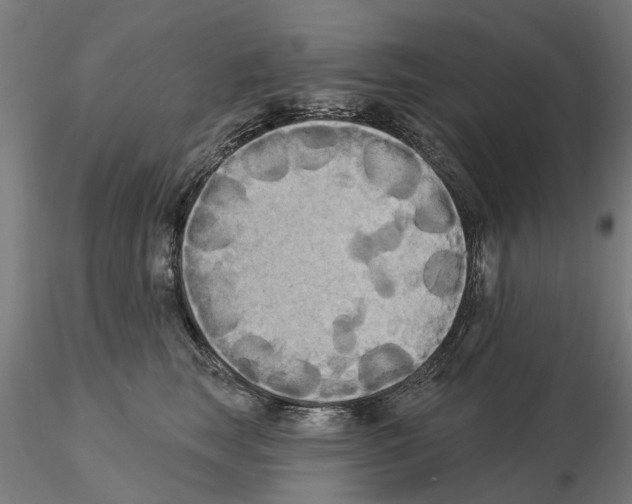 X0000115200663200912091136