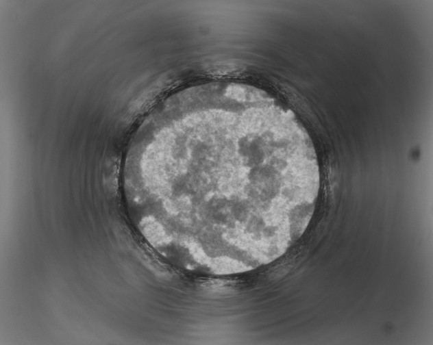 X0000115200664200912091136