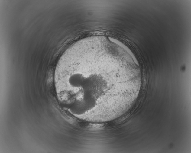 X0000115200665200912091136