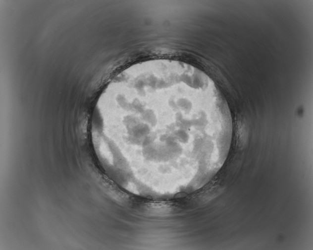 X0000115200668200912091136