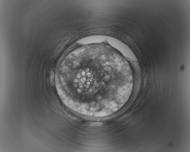 X0000115200669200912091136