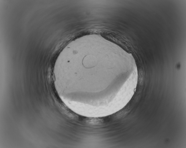 X0000115200670200912091136