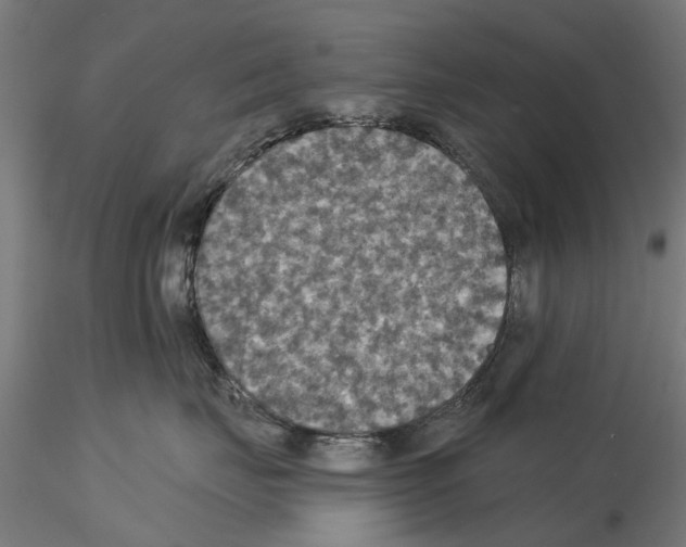 X0000115200671200912091136