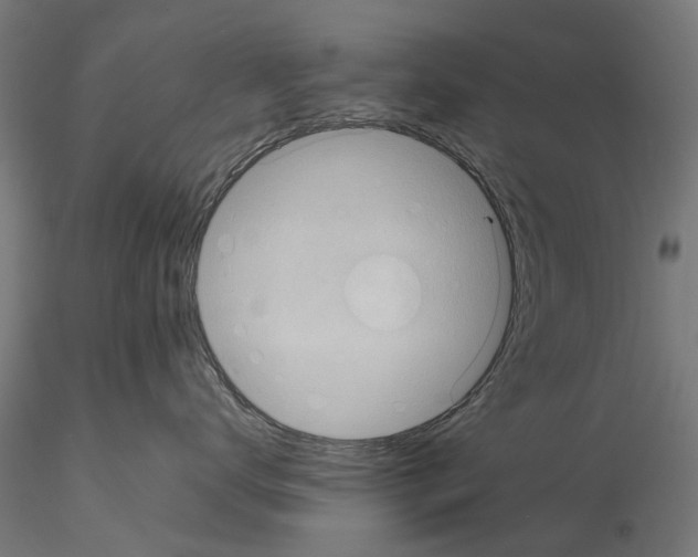 X0000115200672200912091136