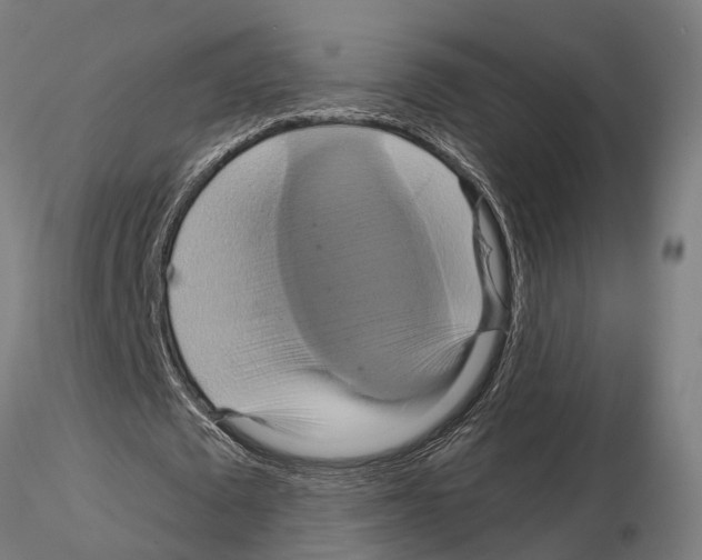 X0000115200673200912091135