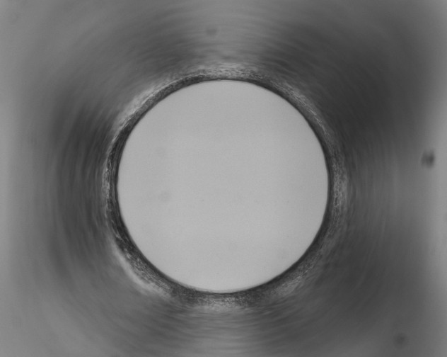 X0000115200674200912091135